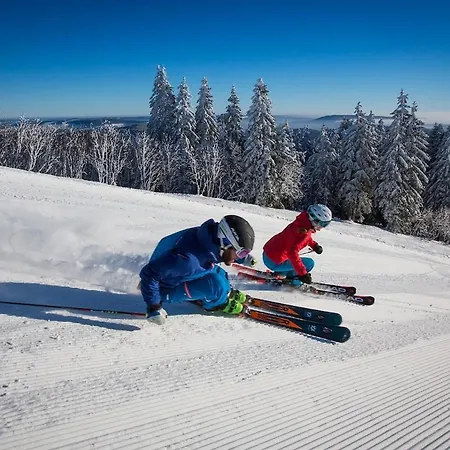 Apartamento Style & Nature - Luxus Trifft Grafenhausen