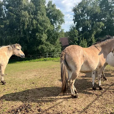Style & Nature - Luxus Trifft Apartamento Grafenhausen