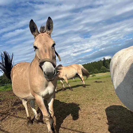 Style & Nature - Luxus Trifft *